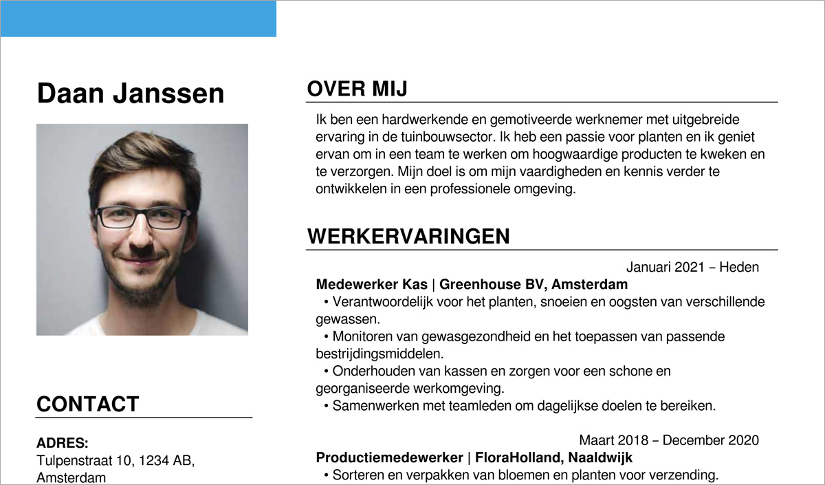 dutch CV example