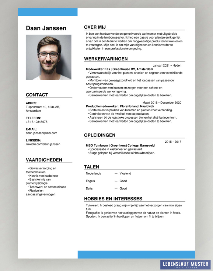 dutch CV Templates free