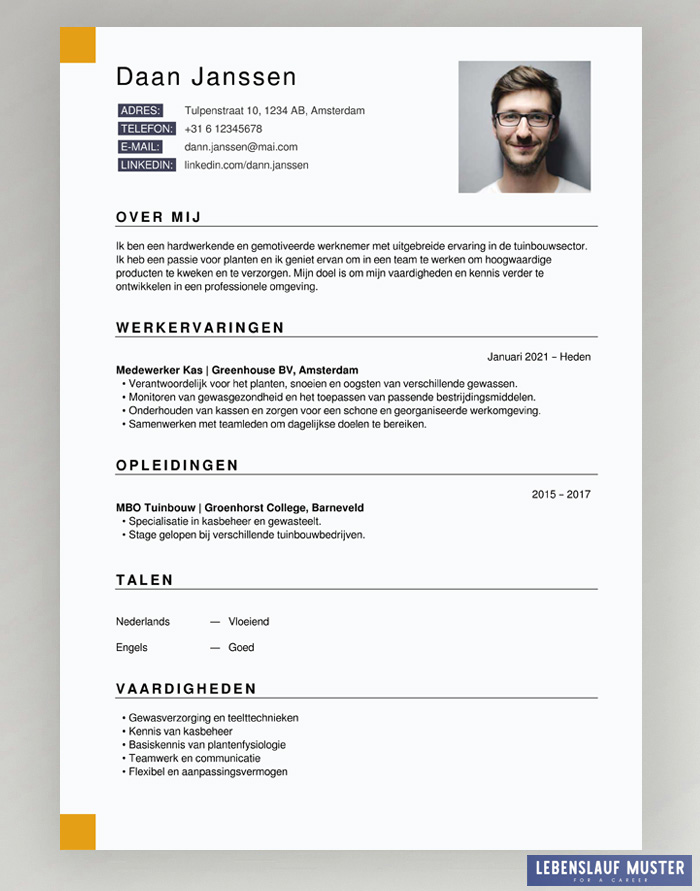 dutch CV Templates free