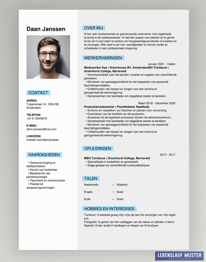 dutch CV Templates free