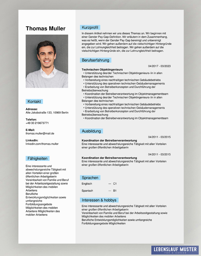 German CV Templates free